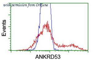 OriGene TA502599AM image 1