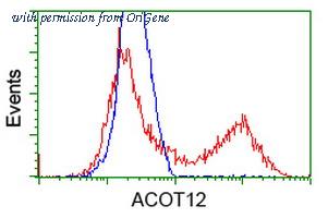 OriGene TA502686AM image 1