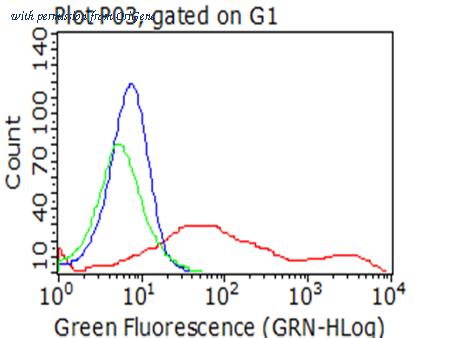 OriGene TA813224AM image 1