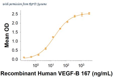 R&D Systems 751-VEB-025 image 1