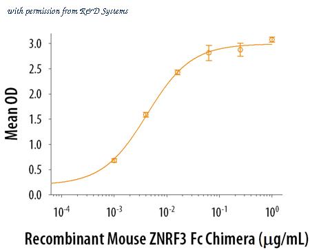 R&D Systems 8328-RF-050 image 1