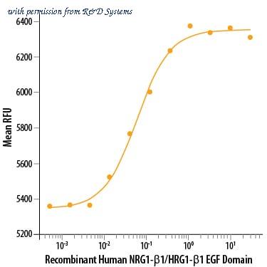 R&D Systems 396-HB-050 image 1