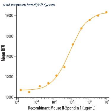 R&D Systems 3474-RS-050 image 1