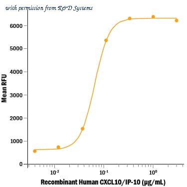 R&D Systems 266-IP-010 image 1