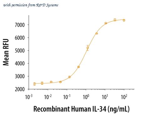 R&D Systems 5265-IL-010 image 1
