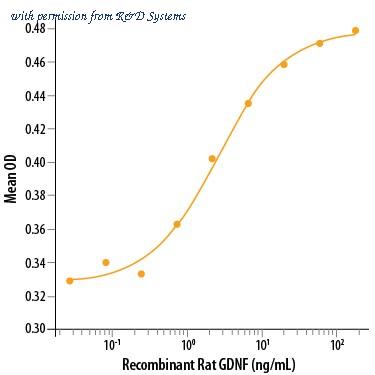R&D Systems 512-GF-010/CF image 1