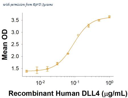 R&D Systems 10185-D4-050 image 1