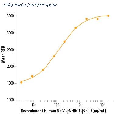 R&D Systems 377-HB-050 image 1