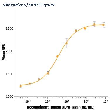 R&D Systems 212-GMP-010 image 1