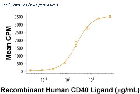 R&D Systems 6245-CL-050/CF image 1
