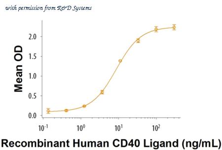 R&D Systems 1493-CDB-050 image 1