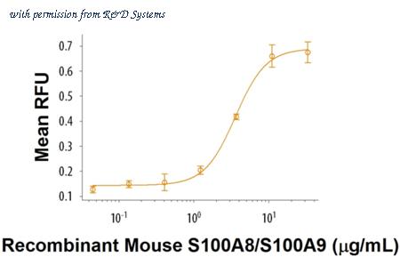 R&D Systems 8916-S8-050 image 1