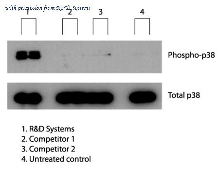 R&D Systems 8880-IR-025/CF image 1