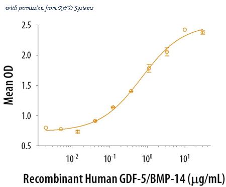 R&D Systems 8340-G5-050 image 1