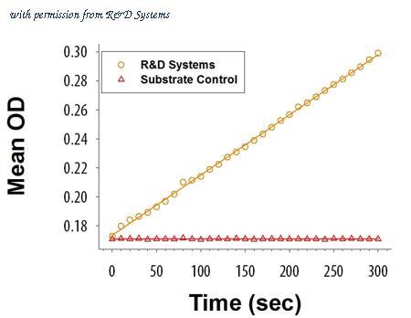 R&D Systems 6336-GH-010 image 1