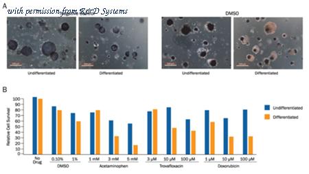 R&D Systems 4890-050-K image 1