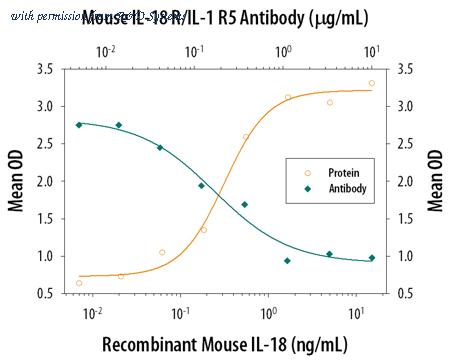 R&D Systems MAB12161-100 image 1
