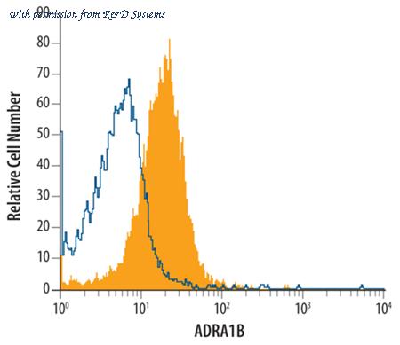 R&D Systems MAB4730 image 1