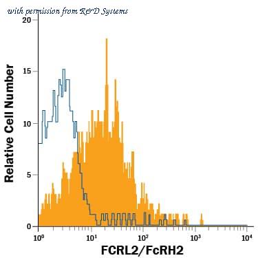 R&D Systems FAB2048P image 1
