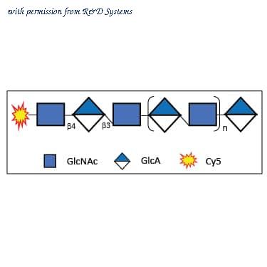 R&D Systems GL401-200 image 1