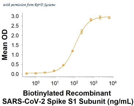 R&D Systems BT10569-050 image 1