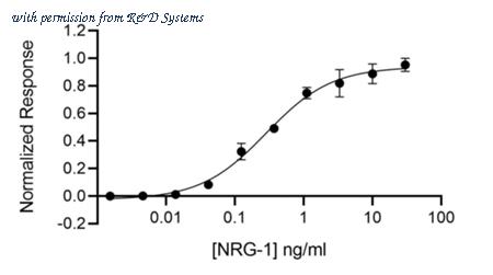 R&D Systems Qk045-0050 image 1
