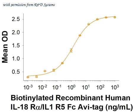 R&D Systems AVI10841-050 image 1