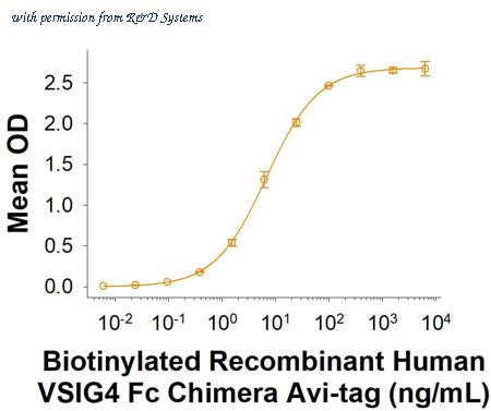 R&D Systems AVI4646-050 image 1