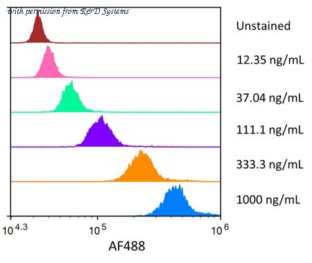 R&D Systems AFG193-020 image 1
