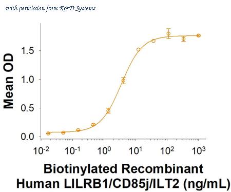 R&D Systems BT2017-050 image 1