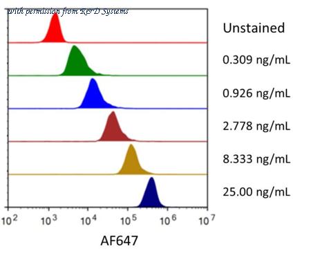 R&D Systems AFR6987-020 image 1