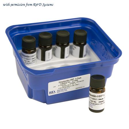 R&D Systems DY998 image 1