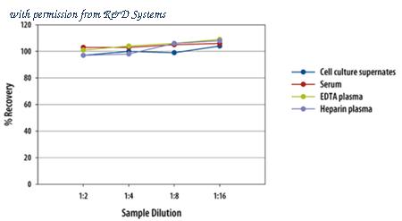 R&D Systems DCC260B image 1