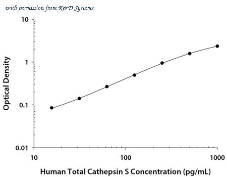 R&D Systems DY1183 image 1