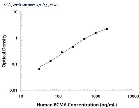 R&D Systems DY193 image 1