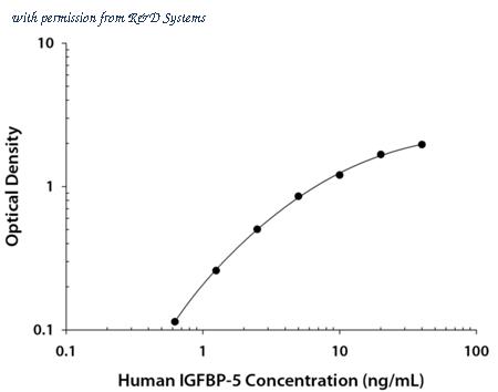R&D Systems DY875 image 1