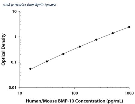 R&D Systems DY2926-05 image 1