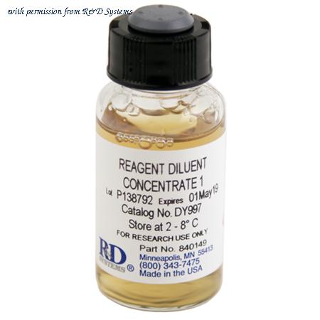 R&D Systems DY997 image 1