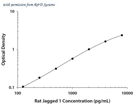 R&D Systems DY599 image 1