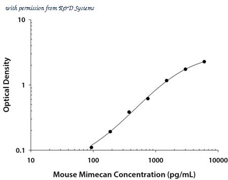 R&D Systems DY2949 image 1