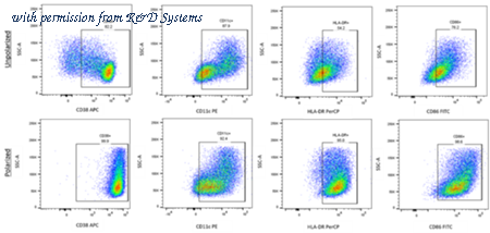 R&D Systems FMC-P-006 image 1