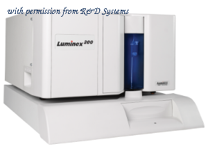 R&D Systems LX200-XPON-RUO image 1