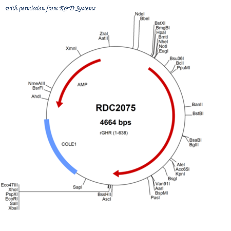 R&D Systems RDC2075 image 1