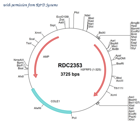 R&D Systems RDC2353 image 1