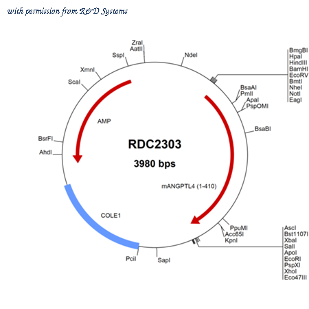 R&D Systems RDC2303 image 1