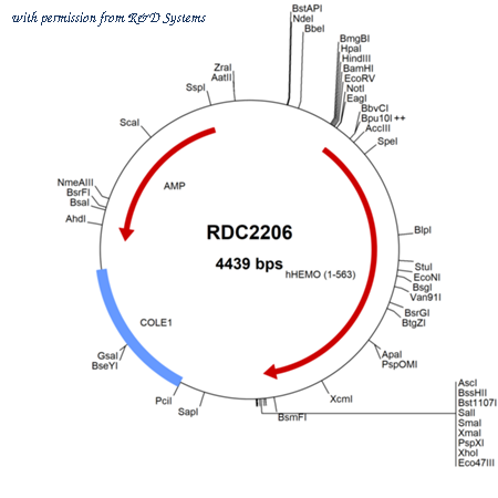 R&D Systems RDC2206 image 1