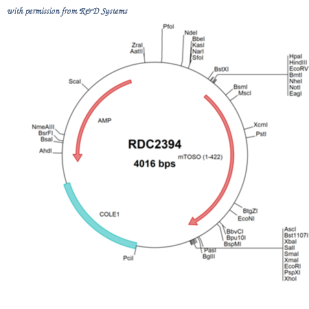 R&D Systems RDC2394 image 1
