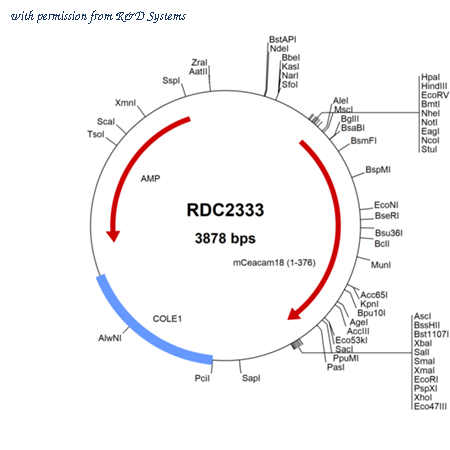 R&D Systems RDC2333 image 1