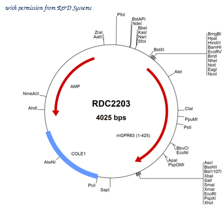 R&D Systems RDC2203 image 1