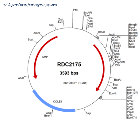 R&D Systems RDC2175 image 1